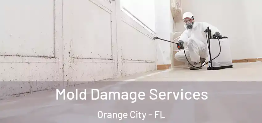  Mold Damage Services Orange City - FL