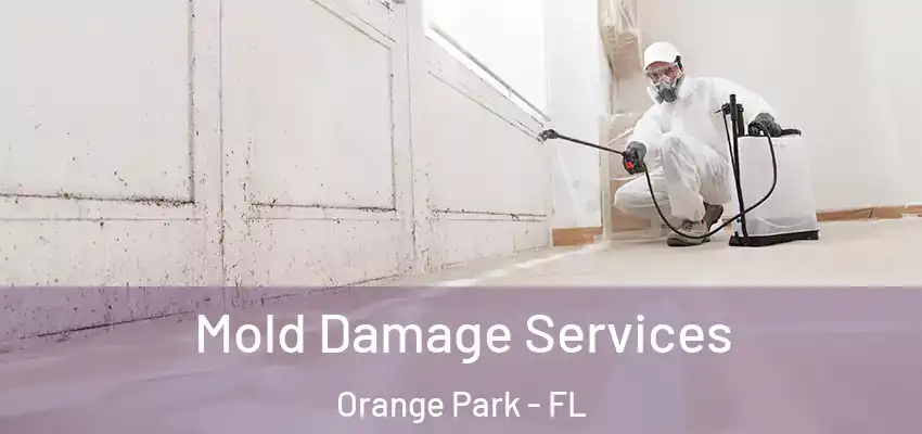  Mold Damage Services Orange Park - FL
