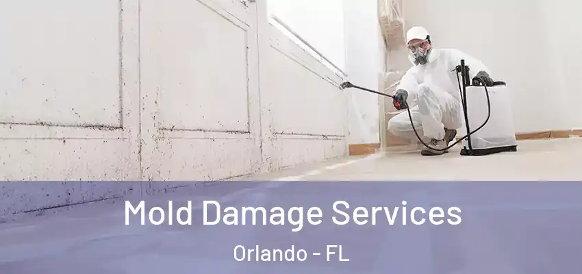  Mold Damage Services Orlando - FL