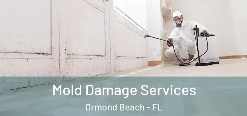  Mold Damage Services Ormond Beach - FL