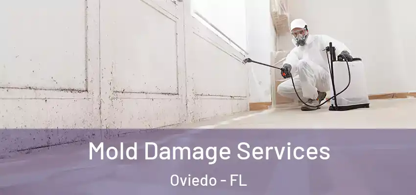  Mold Damage Services Oviedo - FL