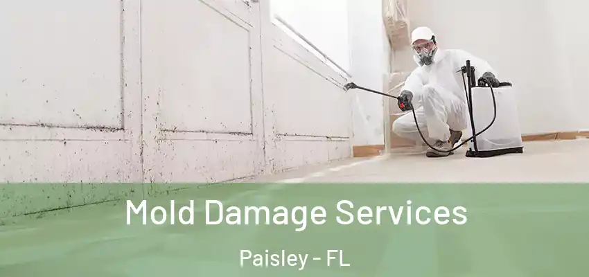  Mold Damage Services Paisley - FL