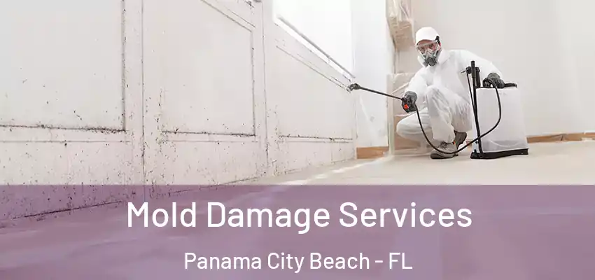 Mold Damage Services Panama City Beach - FL