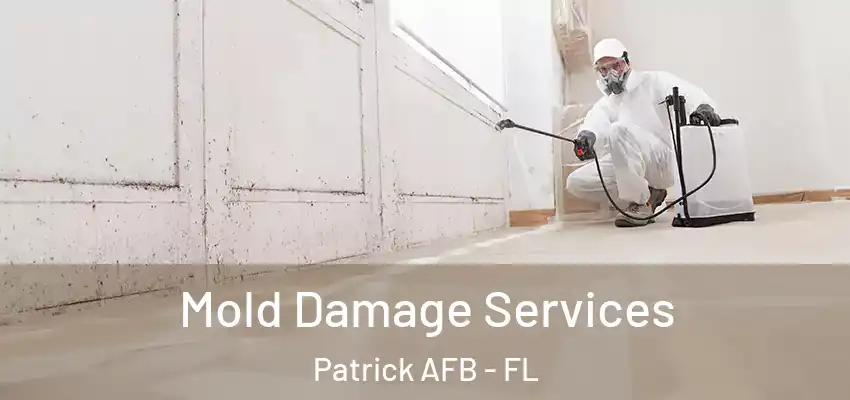  Mold Damage Services Patrick AFB - FL