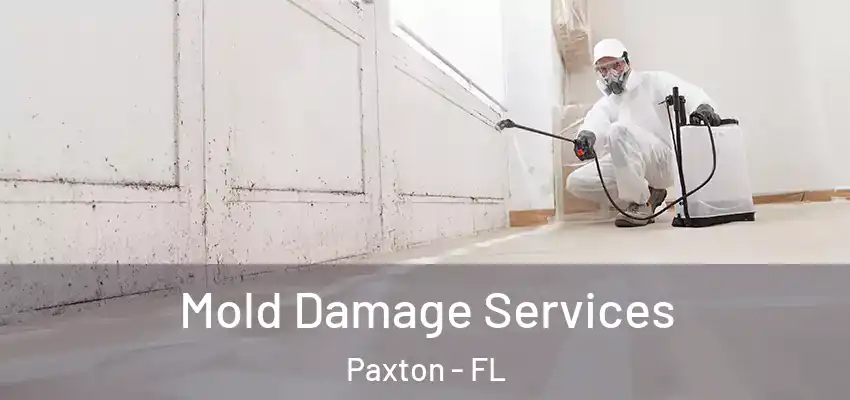 Mold Damage Services Paxton - FL