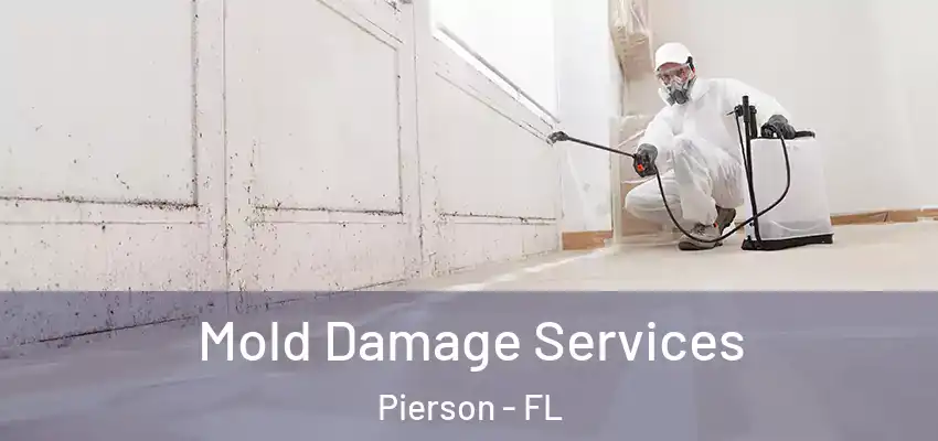 Mold Damage Services Pierson - FL