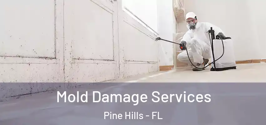 Mold Damage Services Pine Hills - FL