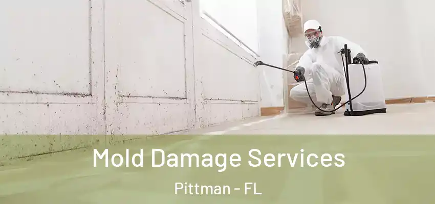 Mold Damage Services Pittman - FL