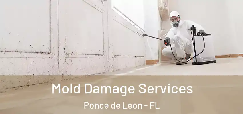  Mold Damage Services Ponce de Leon - FL