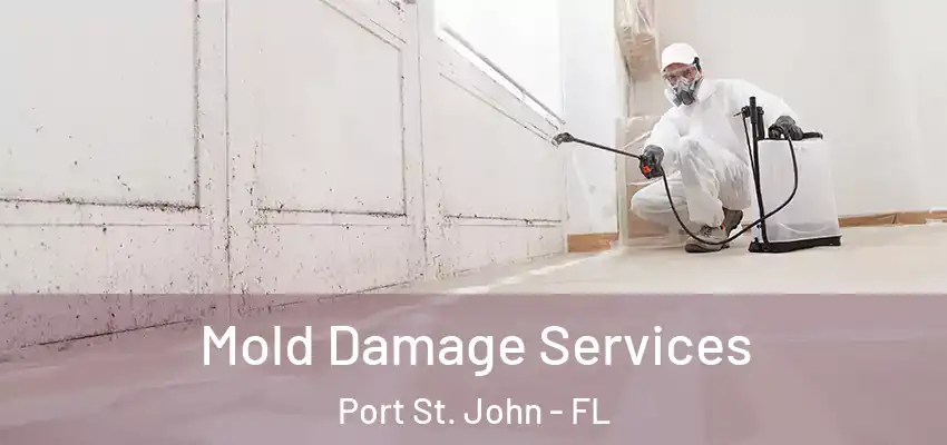 Mold Damage Services Port St. John - FL