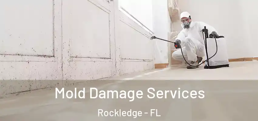  Mold Damage Services Rockledge - FL