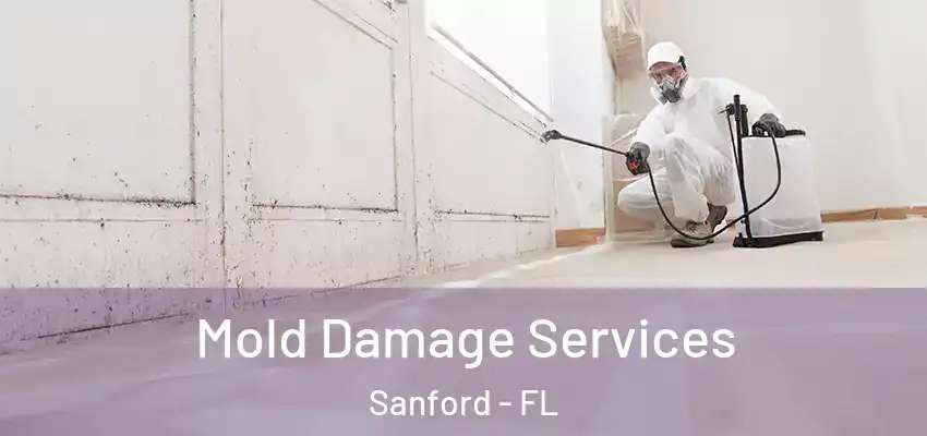  Mold Damage Services Sanford - FL