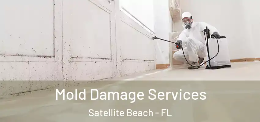  Mold Damage Services Satellite Beach - FL