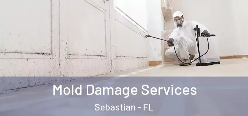  Mold Damage Services Sebastian - FL