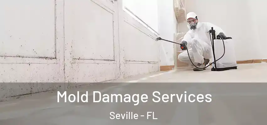  Mold Damage Services Seville - FL