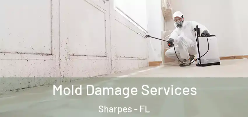  Mold Damage Services Sharpes - FL