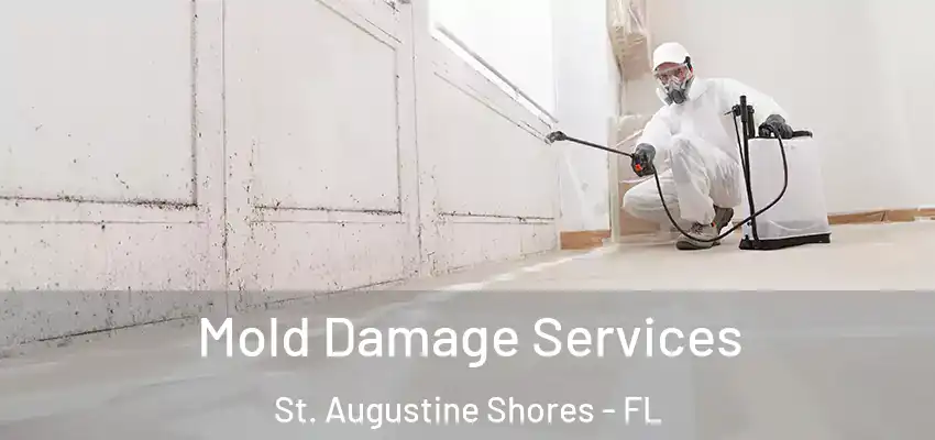 Mold Damage Services St. Augustine Shores - FL