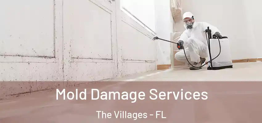  Mold Damage Services The Villages - FL