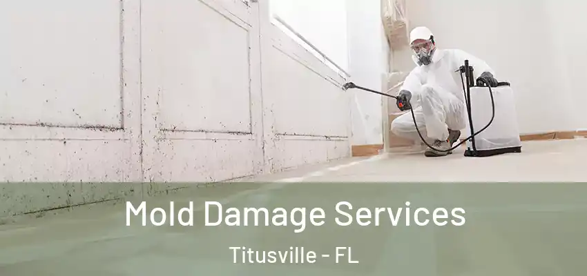 Mold Damage Services Titusville - FL