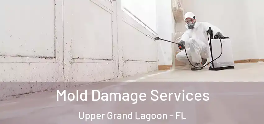  Mold Damage Services Upper Grand Lagoon - FL