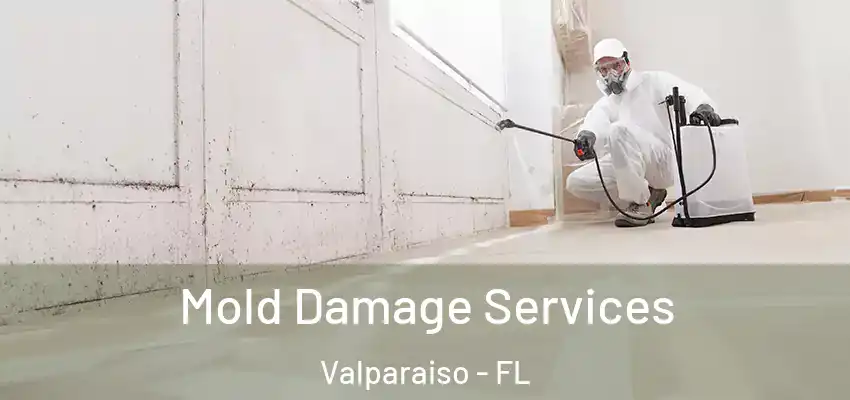  Mold Damage Services Valparaiso - FL