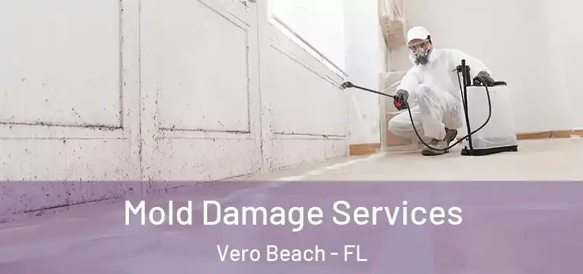  Mold Damage Services Vero Beach - FL