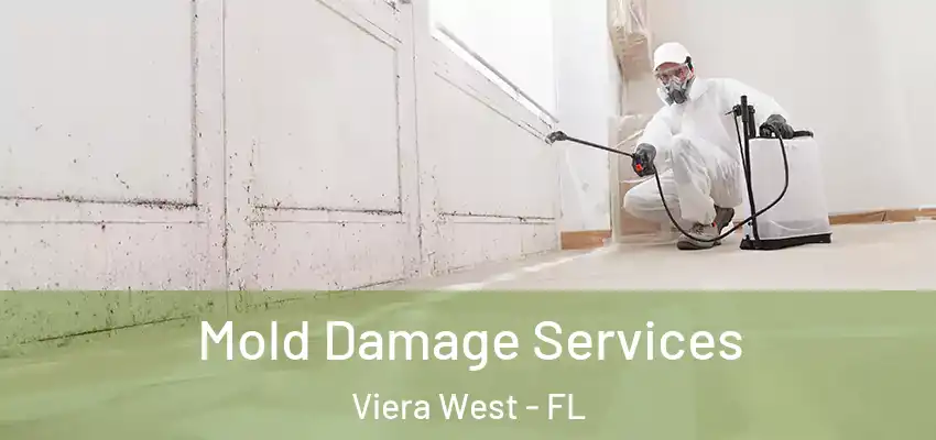 Mold Damage Services Viera West - FL