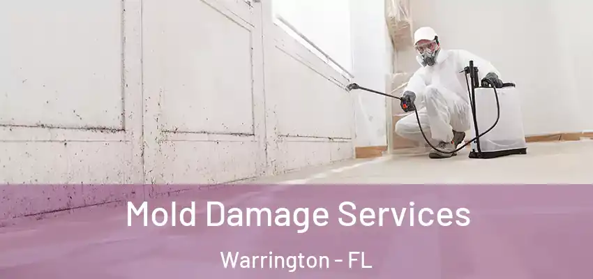 Mold Damage Services Warrington - FL