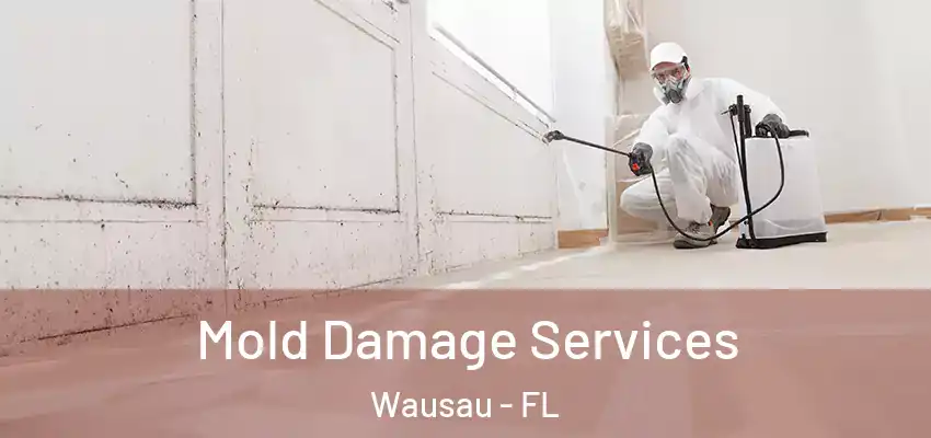 Mold Damage Services Wausau - FL
