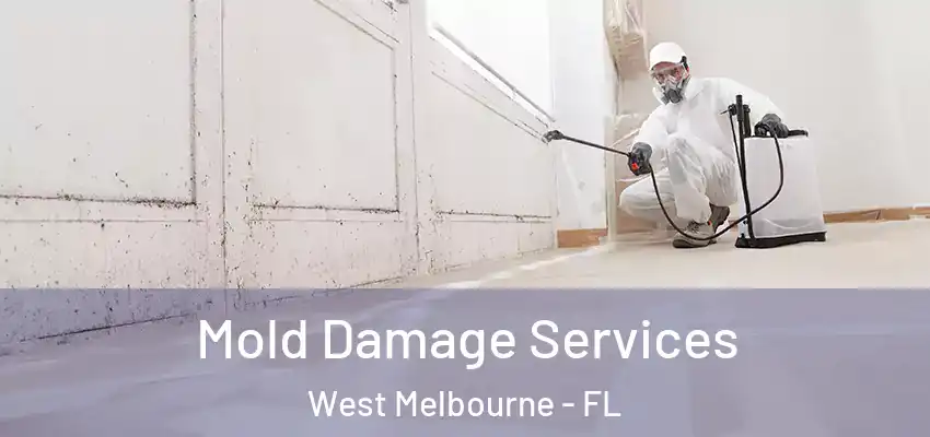  Mold Damage Services West Melbourne - FL