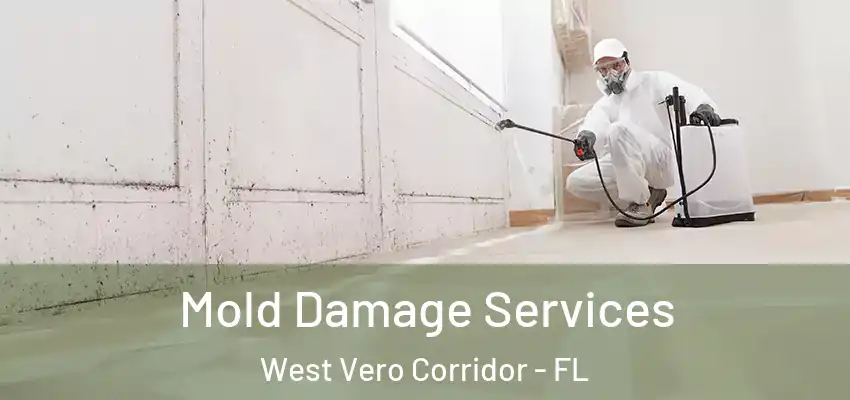Mold Damage Services West Vero Corridor - FL