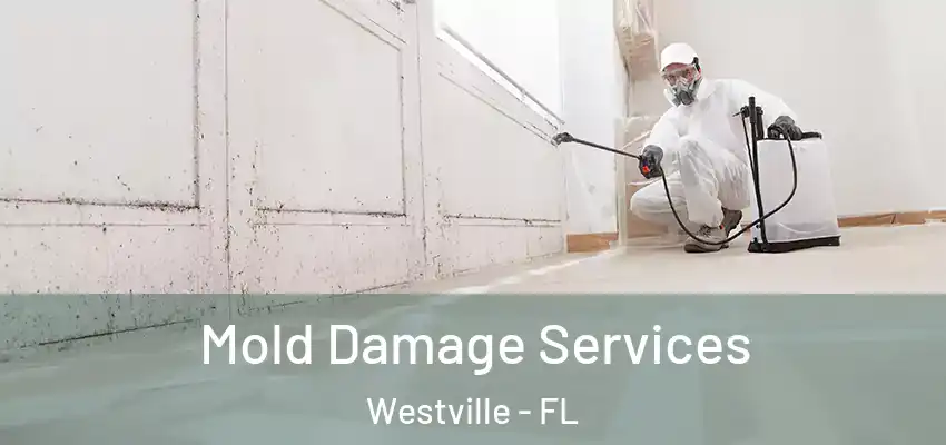  Mold Damage Services Westville - FL