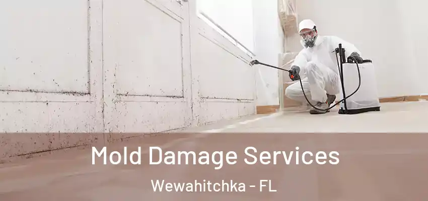  Mold Damage Services Wewahitchka - FL