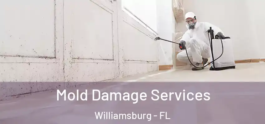 Mold Damage Services Williamsburg - FL