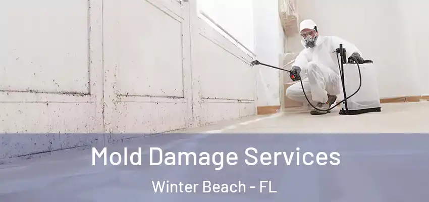 Mold Damage Services Winter Beach - FL
