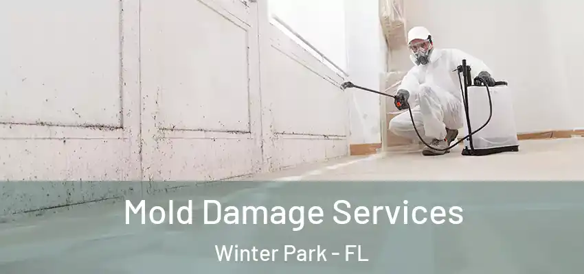 Mold Damage Services Winter Park - FL