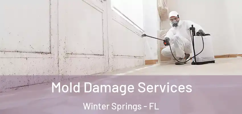 Mold Damage Services Winter Springs - FL