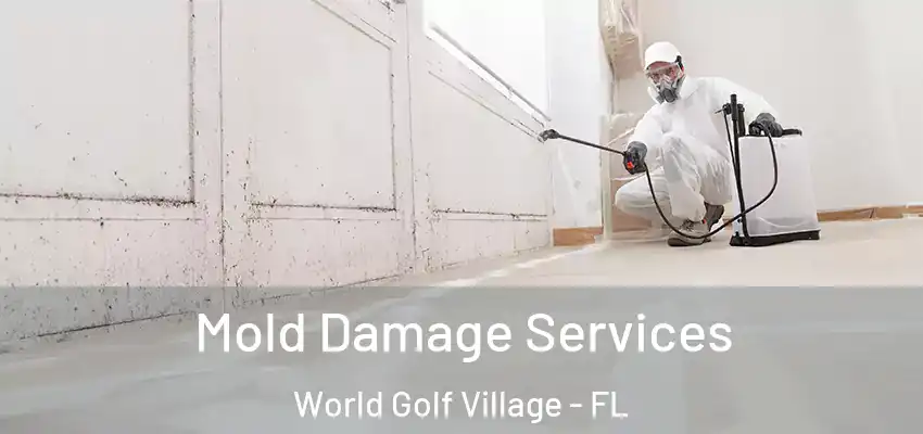  Mold Damage Services World Golf Village - FL