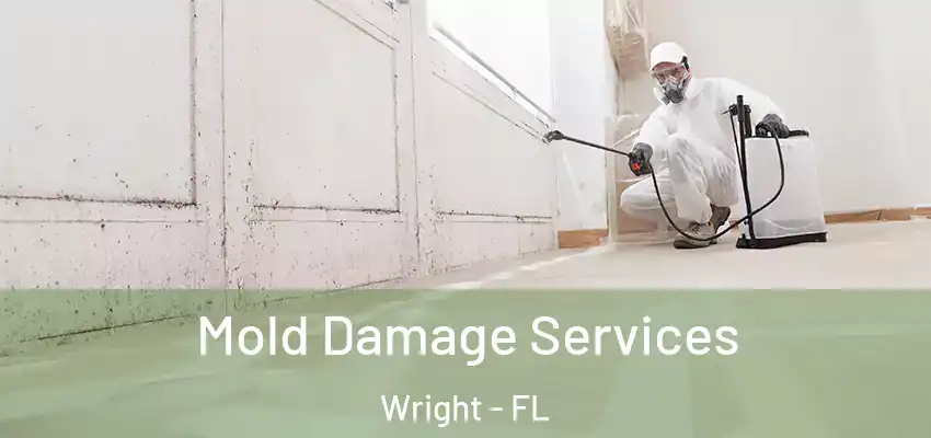  Mold Damage Services Wright - FL