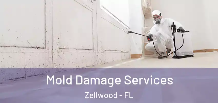 Mold Damage Services Zellwood - FL