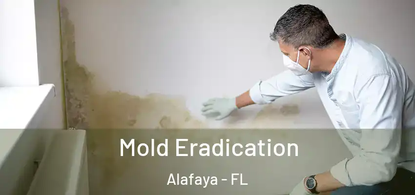  Mold Eradication Alafaya - FL