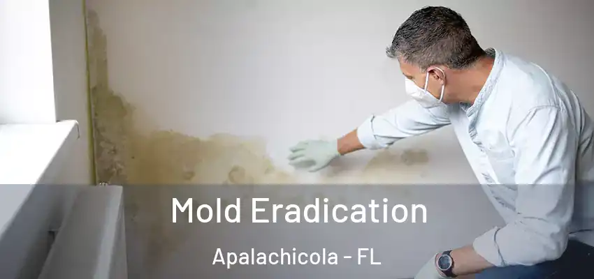  Mold Eradication Apalachicola - FL
