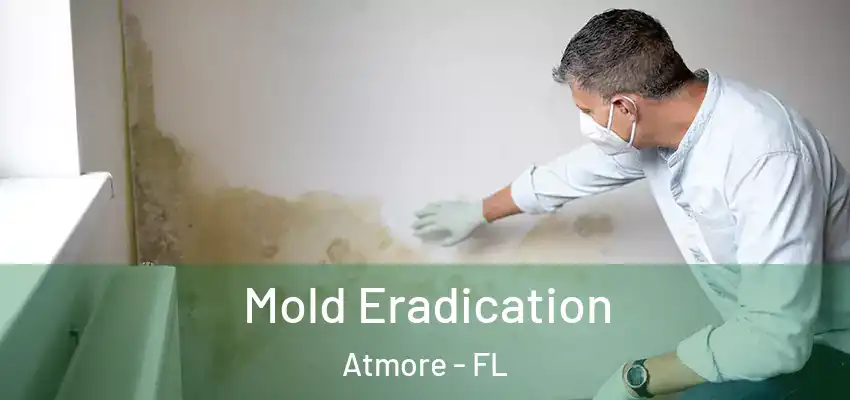  Mold Eradication Atmore - FL