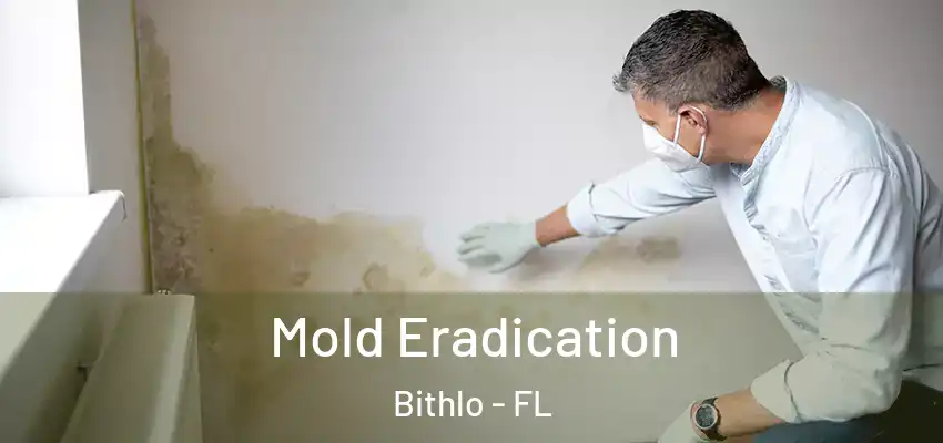 Mold Eradication Bithlo - FL