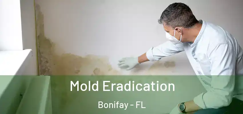 Mold Eradication Bonifay - FL