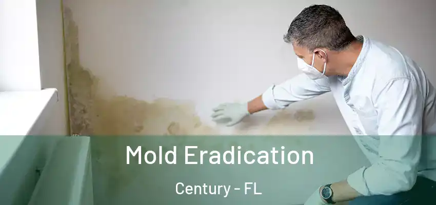  Mold Eradication Century - FL