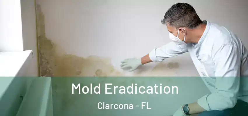  Mold Eradication Clarcona - FL