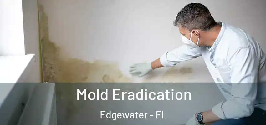 Mold Eradication Edgewater - FL