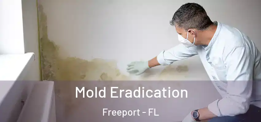  Mold Eradication Freeport - FL