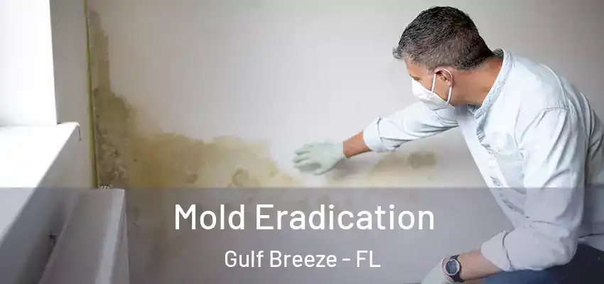 Mold Eradication Gulf Breeze - FL